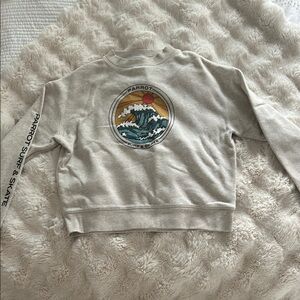Champion Gray Graphic Sweatshirt